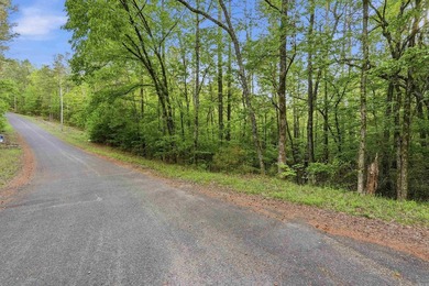 2 acres. Lake views. Ready for your vision. Build your dream - photo 17