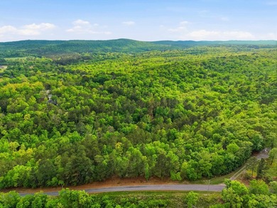 2 acres. Lake views. Ready for your vision. Build your dream - photo 18