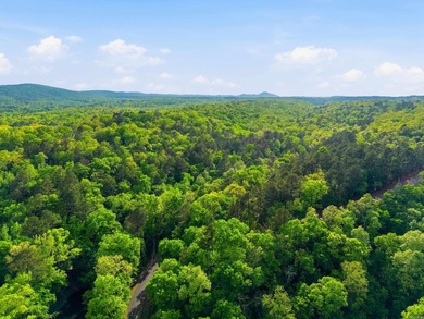 2 acres. Lake views. Ready for your vision. Build your dream - photo 20