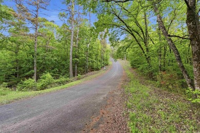 2 acres. Lake views. Ready for your vision. Build your dream - photo 21