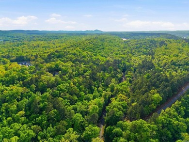 2 acres. Lake views. Ready for your vision. Build your dream - photo 22