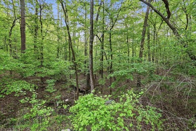2 acres. Lake views. Ready for your vision. Build your dream - photo 23