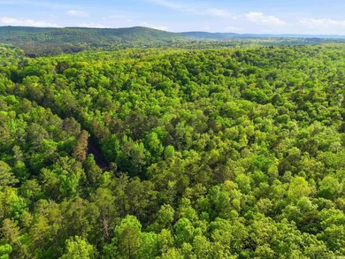 2 acres. Lake views. Ready for your vision. Build your dream - photo 24