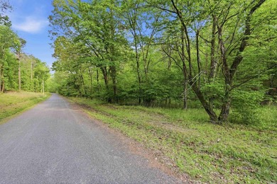 2 acres. Lake views. Ready for your vision. Build your dream - photo 25