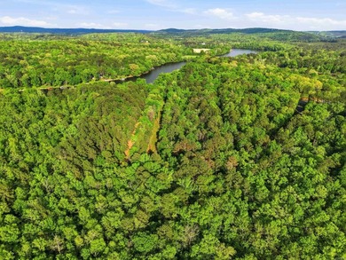 2 acres. Lake views. Ready for your vision. Build your dream - photo 28
