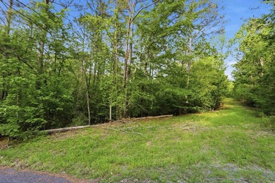 2 acres. Lake views. Ready for your vision. Build your dream - photo 29