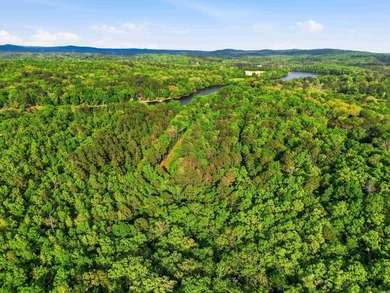 2 acres. Lake views. Ready for your vision. Build your dream - photo 30