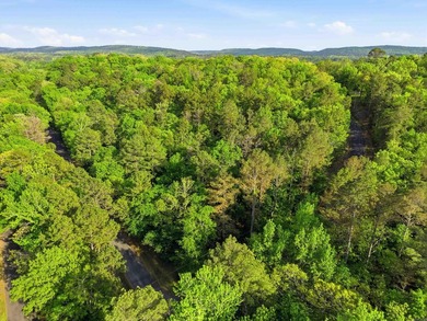 2 acres. Lake views. Ready for your vision. Build your dream - photo 31