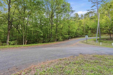 2 acres. Lake views. Ready for your vision. Build your dream - photo 33