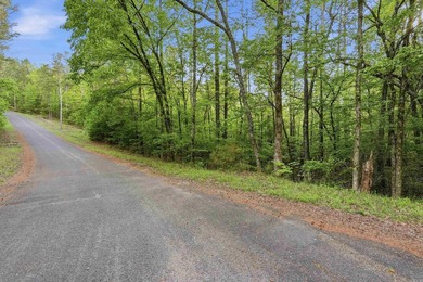 2 acres. Lake views. Ready for your vision. Build your dream - photo 34