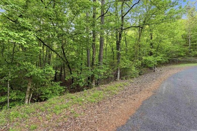 2 acres. Lake views. Ready for your vision. Build your dream - photo 35
