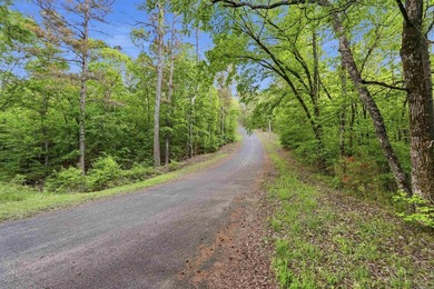 2 acres. Lake views. Ready for your vision. Build your dream - photo 36