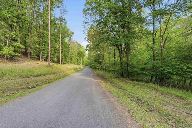 2 acres. Lake views. Ready for your vision. Build your dream - photo 38