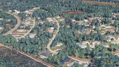 Build your dream home or invest in growing Palm Coast This - photo 2