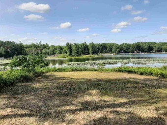 Arnold Lake Lot For Sale in Harrison Michigan