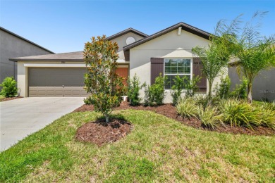 King Lake Home For Sale in Wesley Chapel Florida