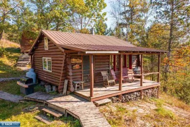 Lake Home For Sale in Orr, Minnesota