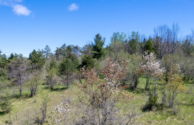Large Waterfront Parcel on the Upper Black River - photo 2