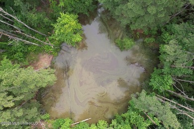Tucked away on a quiet dead-end road in Liberty, Mississippi - photo 3