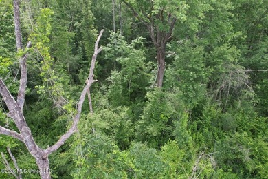 Tucked away on a quiet dead-end road in Liberty, Mississippi - photo 8