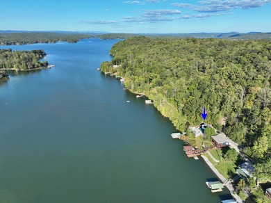 What a view! This beautifully updated 3-bedroom, 2 full and 2 - photo 51