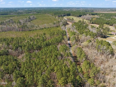 Discover the perfect place to build your Lake Gaston dream home! - photo 11