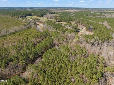 Discover the perfect place to build your Lake Gaston dream home! - photo 12