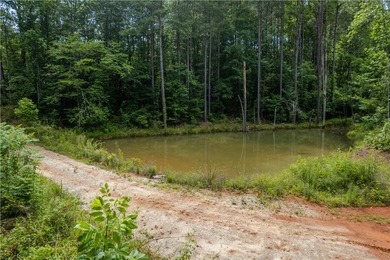 This Lake Keowee this property is full of potential! This land - photo 12