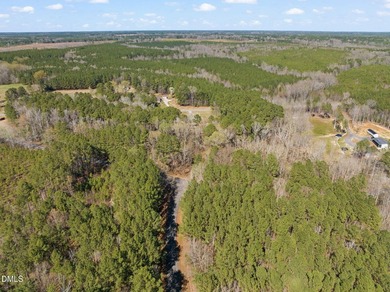Discover the perfect place to build your Lake Gaston dream home! - photo 13