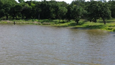 1 Acre Lot with Over 300 Foot of Waterfront - photo 9