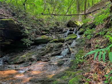 This Lake Keowee this property is full of potential! This land - photo 46