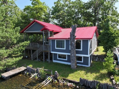 Lake Home For Sale in Otter Lake, Michigan