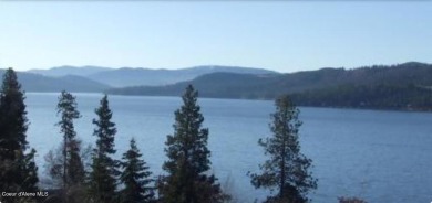 Lake Lot For Sale in Harrison, Idaho