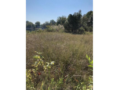 Baldwin Lake Lot For Sale in Union Michigan