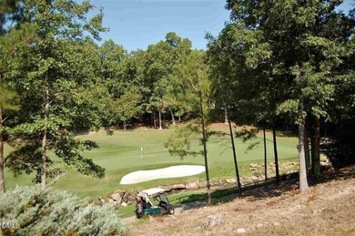 ON THE 4th HOLE ON GOLF COURSE! BREATHTAKING VIEWS! PRIMARY BR - photo 8