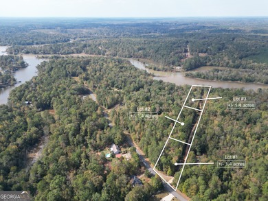 Lake Acreage For Sale in Covington, Georgia