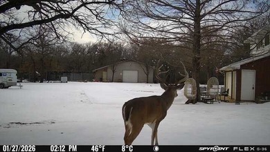 22 acres of pure Texas, and it's hiding in plain sight. Tucked - photo 10