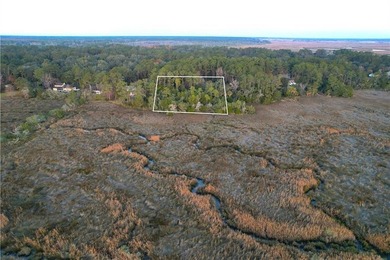 Free to show anytime. Land has lots of overgrown brush as it has - photo 1