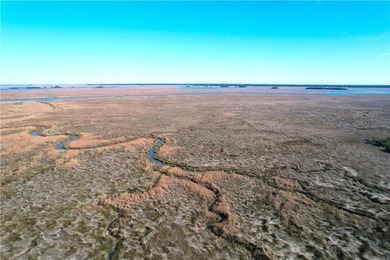 Free to show anytime. Land has lots of overgrown brush as it has - photo 2
