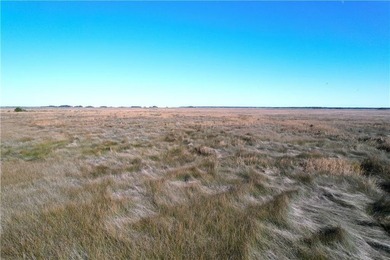 Free to show anytime. Land has lots of overgrown brush as it has - photo 4