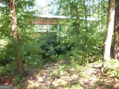 Lake Lot For Sale in Jackson, Georgia
