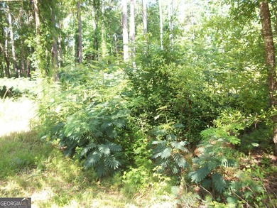 1.39 +/- acres near High Falls State park. Seller has divided - photo 2