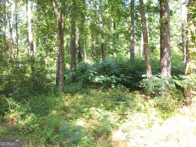 1.39 +/- acres near High Falls State park. Seller has divided - photo 3
