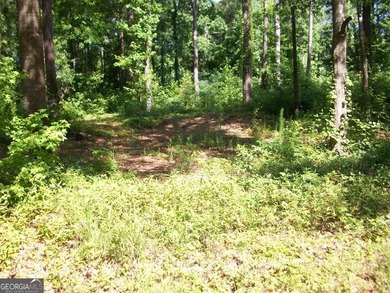 1.39 +/- acres near High Falls State park. Seller has divided - photo 4