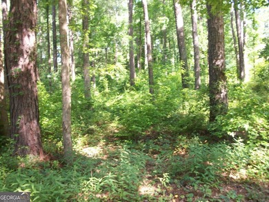 1.39 +/- acres near High Falls State park. Seller has divided - photo 5