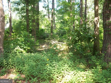 1.39 +/- acres near High Falls State park. Seller has divided - photo 6