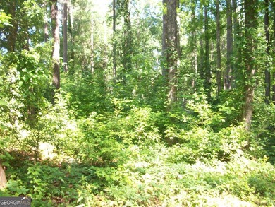 1.39 +/- acres near High Falls State park. Seller has divided - photo 7