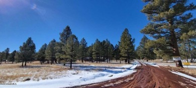 Cataract Lake  Acreage For Sale in Williams Arizona