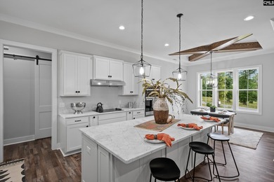 New construction lake access home in the new lakefront community - photo 14