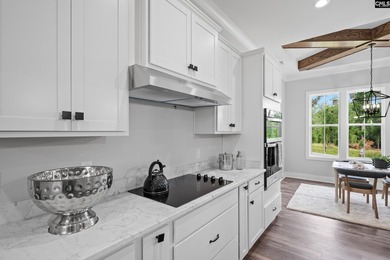 New construction lake access home in the new lakefront community - photo 18